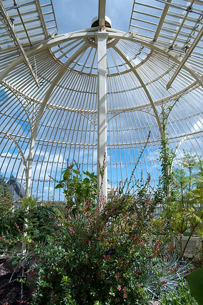 アイルランド国立植物園の温室 / Glasshouses
