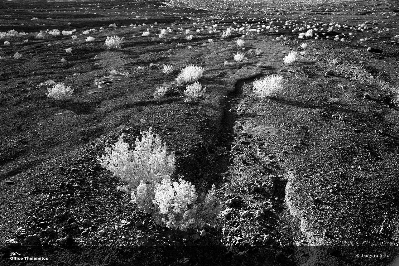 「 ダンテス・ビュー」デス・バレー国立公園 / Death Valley National Park