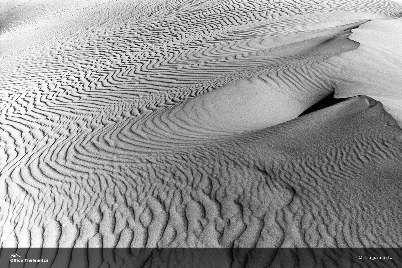 「砂丘の風紋」デス・バレー国立公園 / Death Valley National Park