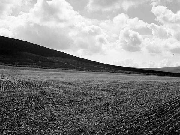 オークニー諸島の丘 / Gentle slopes in Orkney